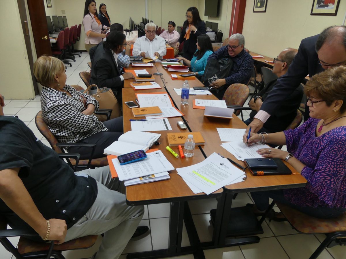 Reunión Junta Local en Pleno, del ALDLSureste