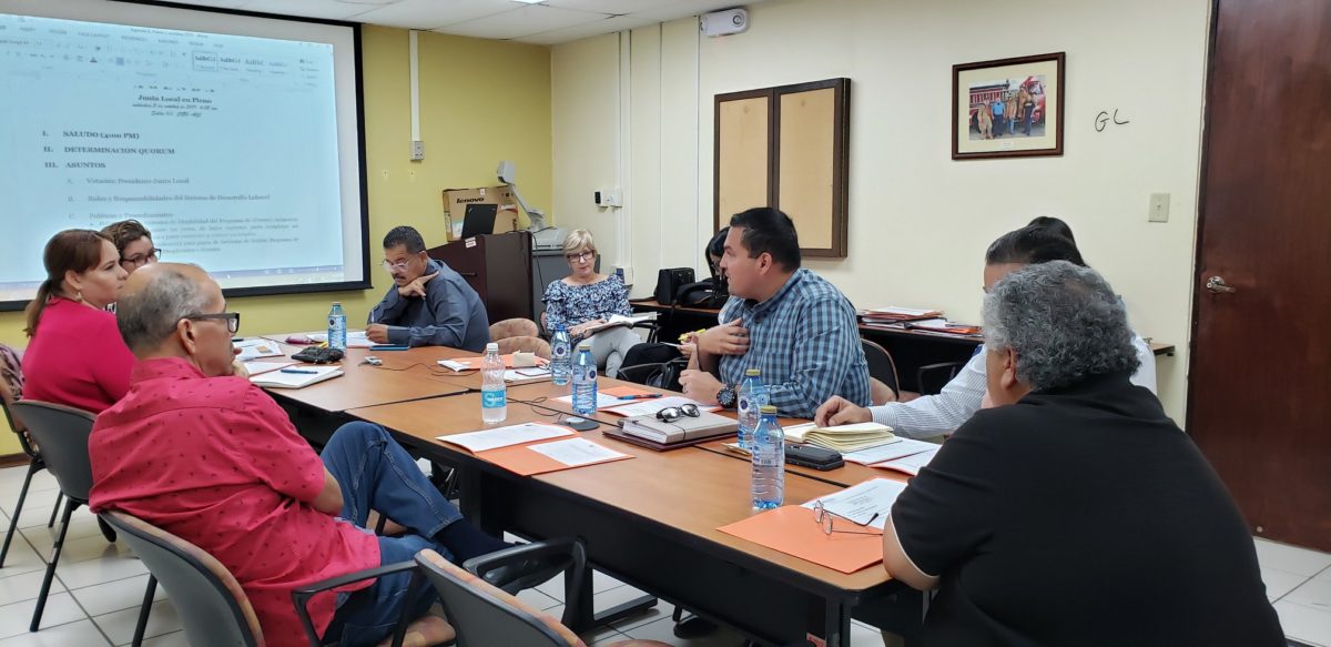 Reunión de la Junta Local en Pleno del ALDLSureste