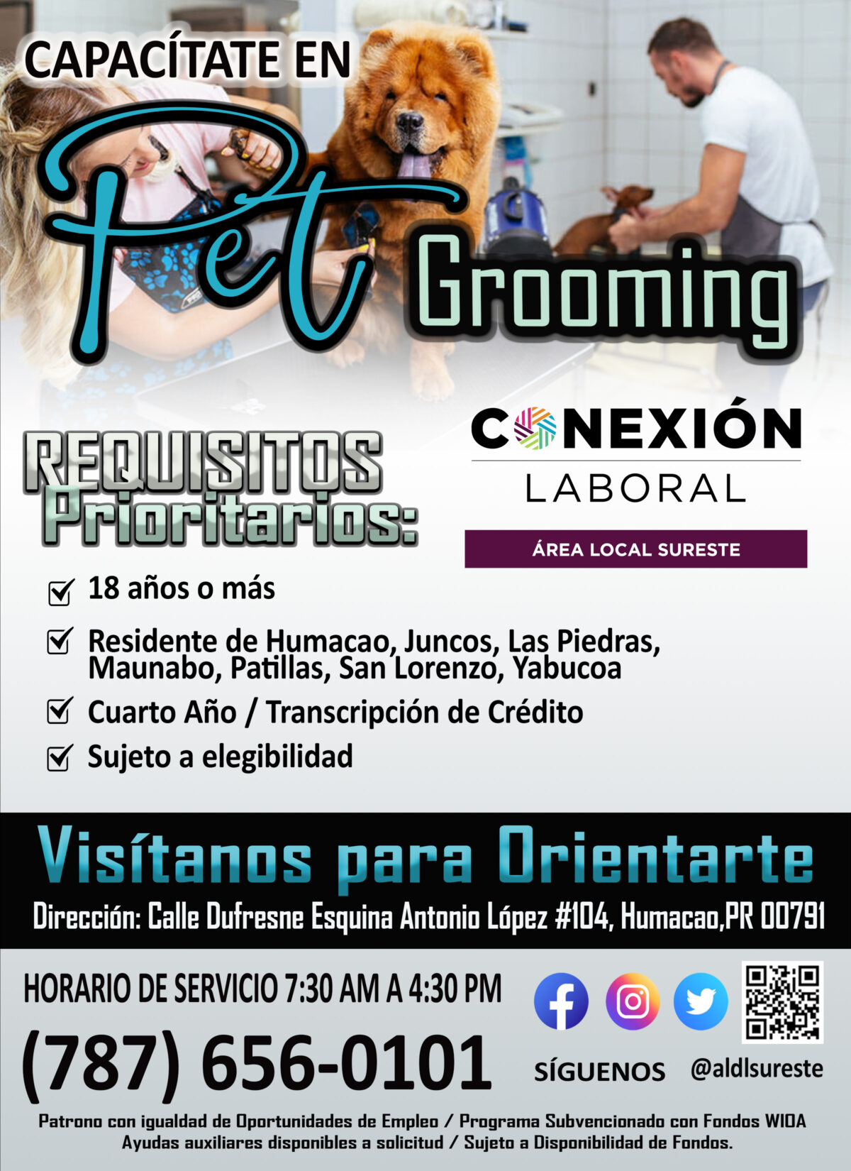 Taller: Capacitate en Pet Grooming